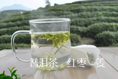 普洱茶 红枣 姜/2023031678462